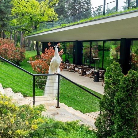 Bioli Wellness Resort Kojori 외부 사진