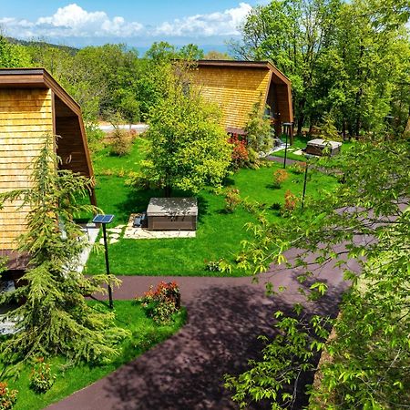 Bioli Wellness Resort Kojori 외부 사진