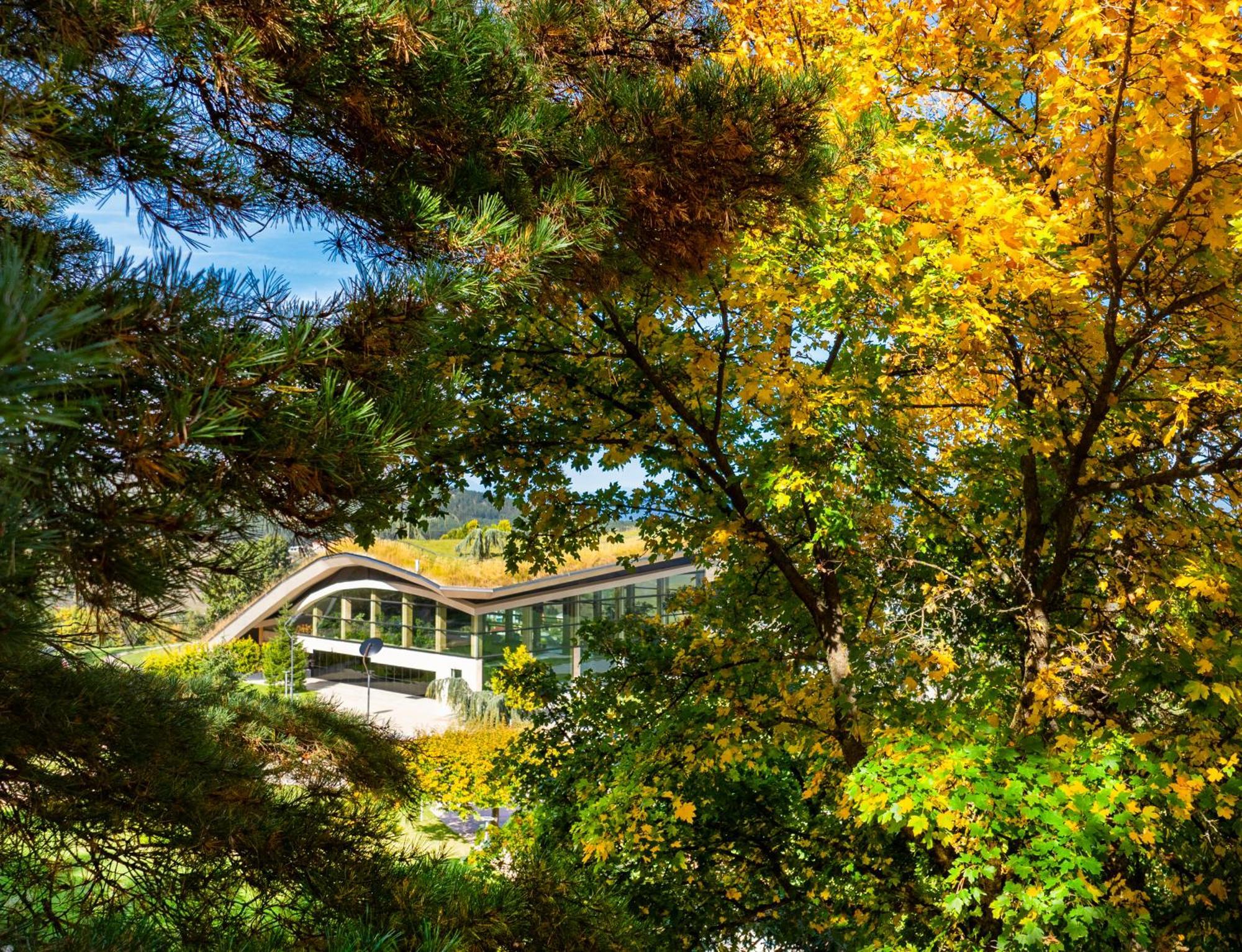 Bioli Wellness Resort Kojori 외부 사진