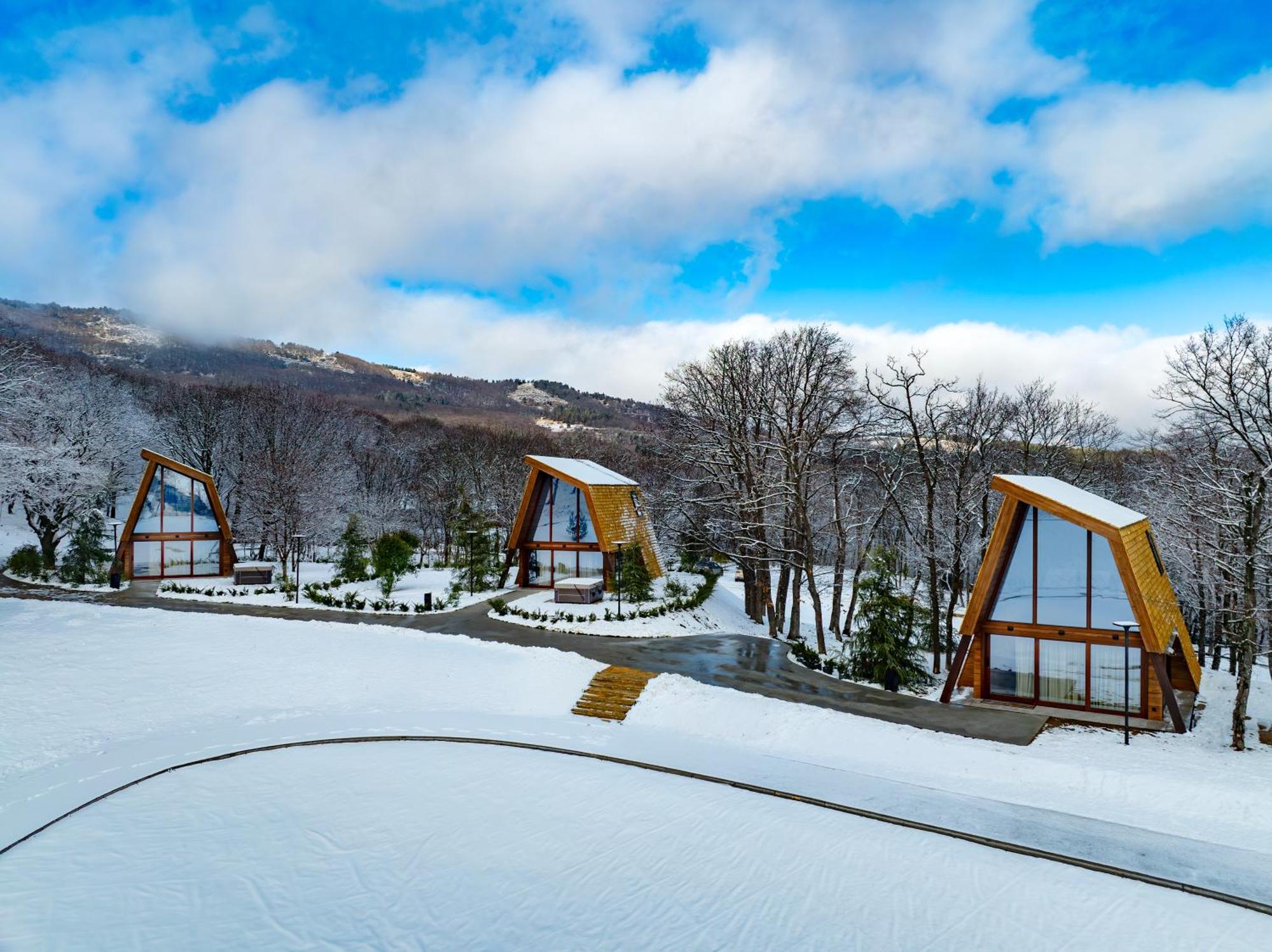 Bioli Wellness Resort Kojori 객실 사진