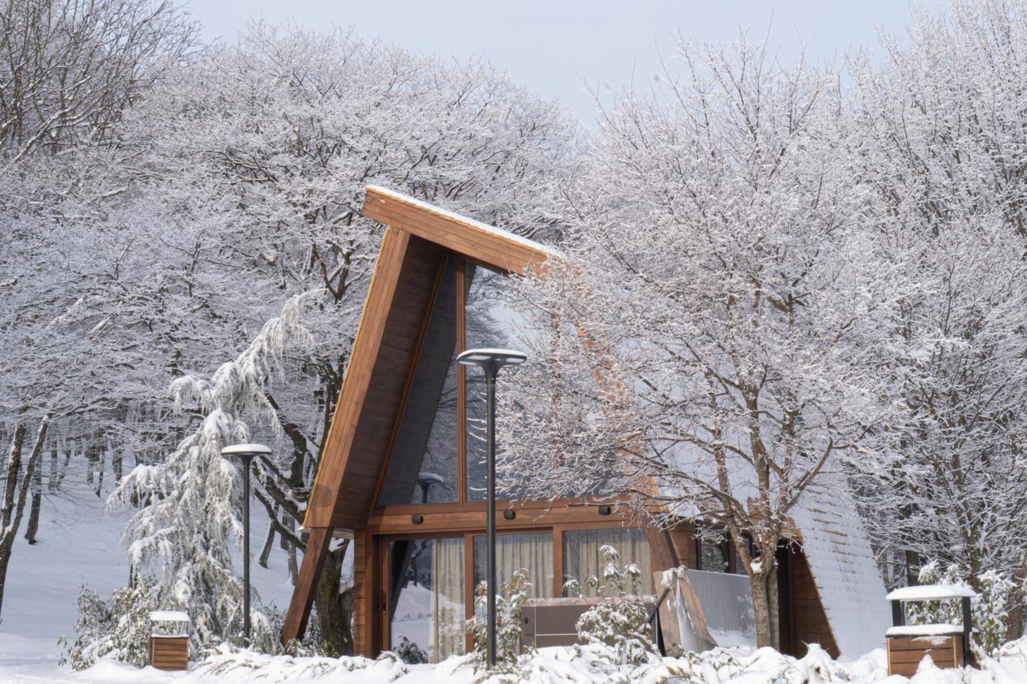 Bioli Wellness Resort Kojori 외부 사진