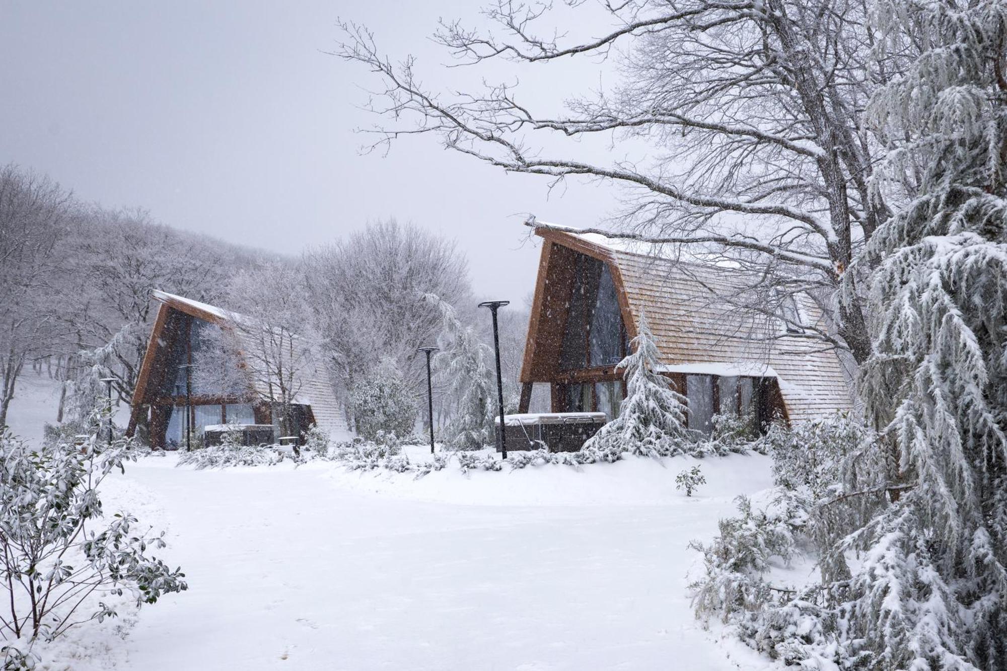 Bioli Wellness Resort Kojori 외부 사진