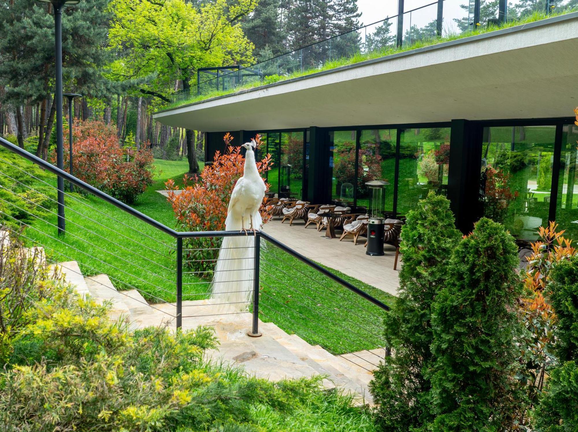 Bioli Wellness Resort Kojori 외부 사진